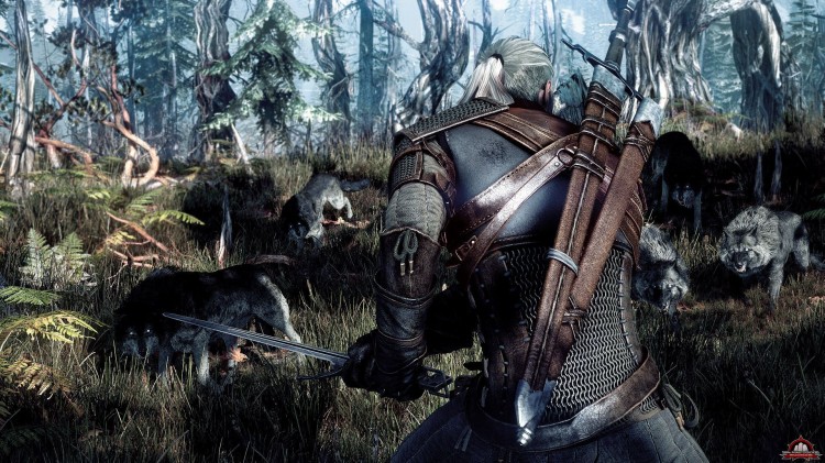 E3 '13: Wiedmin 3 zakoczy przygod Geralta, ale moe on jeszcze pniej powrci