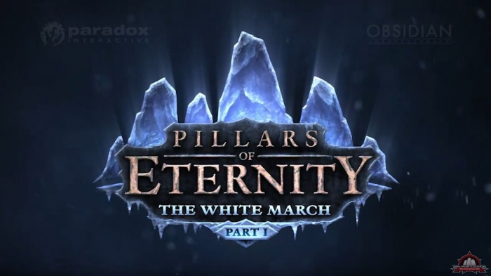 Pillars of Eternity - pudekowa Przepustka Sezonowa od Cenegi