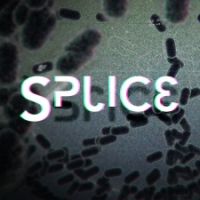 Splice (PS4) - okladka