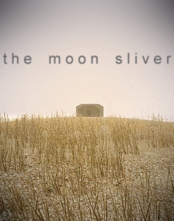 The Moon Sliver (PC) - okladka