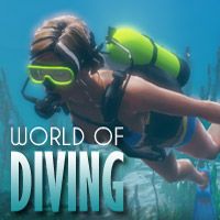 World of Diving (PC) - okladka