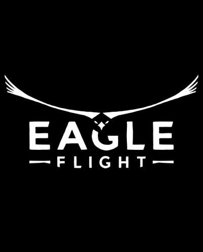 Eagle Flight (PC) - okladka