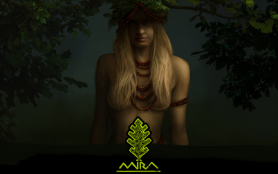 Mira (PC) - okladka