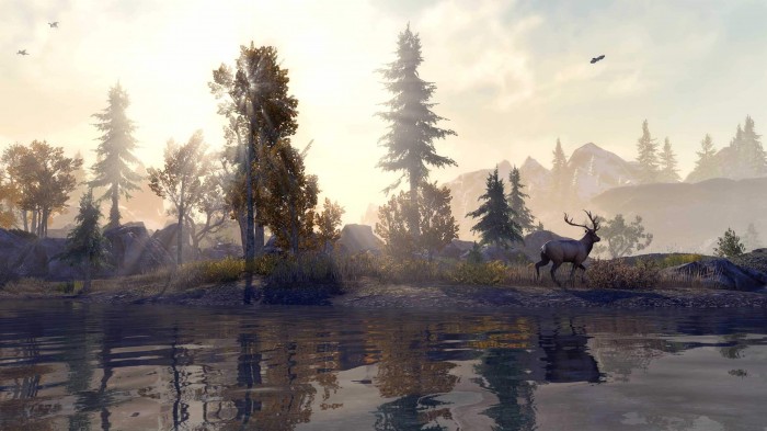 The Elder Scrolls Online: Console Enhanced - premiera 8 czerwca razem z dodatkiem Blackwood