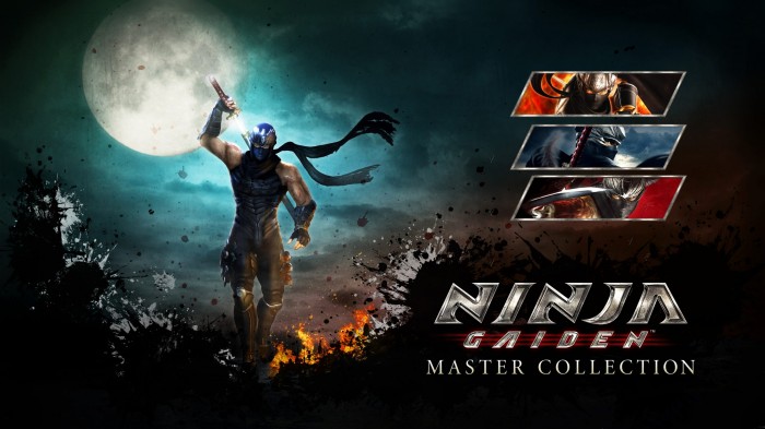 Ninja Gaiden Master Collection mogo by cakiem inne