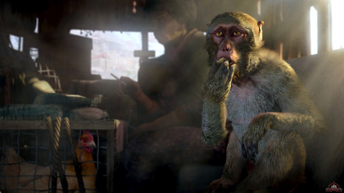 Ubisoft przywraca cze dezaktywowanych kluczy do Far Cry 4
