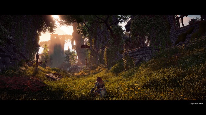 Horizon: Zero Dawn - najnowsza aktualizacja poprawia wydajno gry