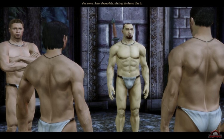 Scenarzysta Dragon Age Inkwizycja chciaby aby homoseksualizm by w grach norm