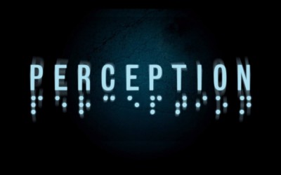 Perception (PC) - okladka
