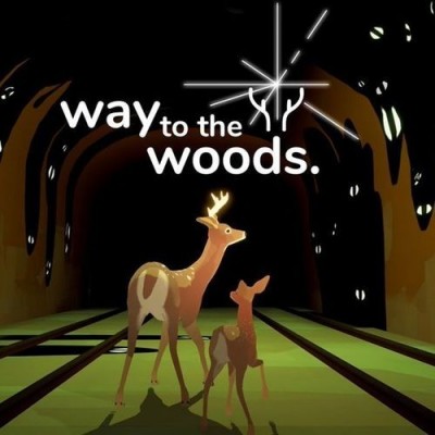 Way to the Woods (PC) - okladka