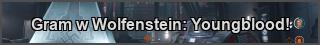 Wolfenstein: Youngblood PC