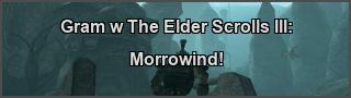 The Elder Scrolls III: Morrowind PC