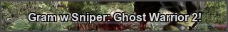 Sniper: Ghost Warrior 2 PC